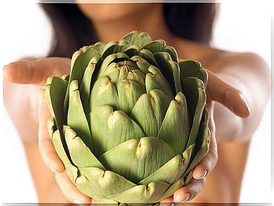 Artichoke in weight loss