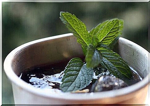 Mint leaves