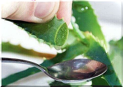 Aloe Vera contains vitamins, minerals and amino acids.