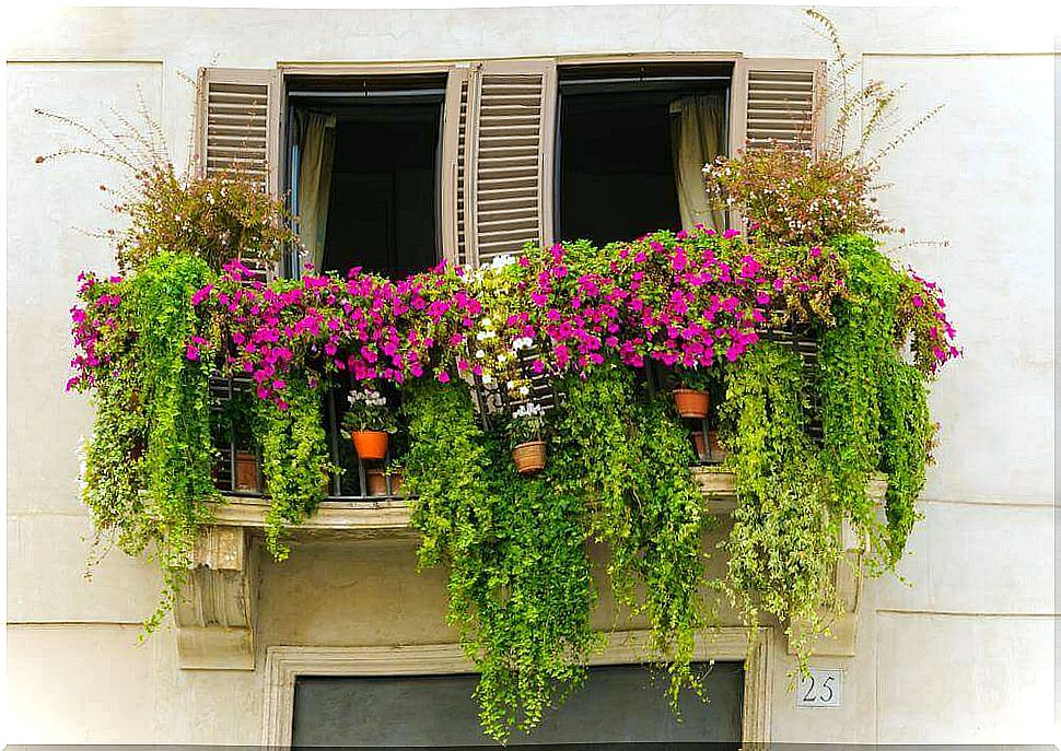 14 small city gardens that bring harmony to your balcony