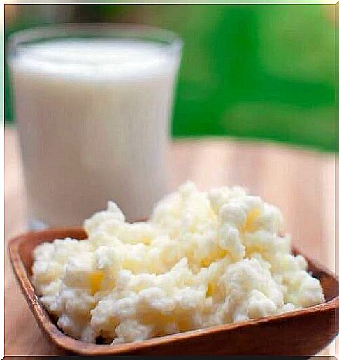 Kefir contains probiotics.