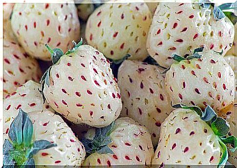 exotic fruits: pineapple strawberry