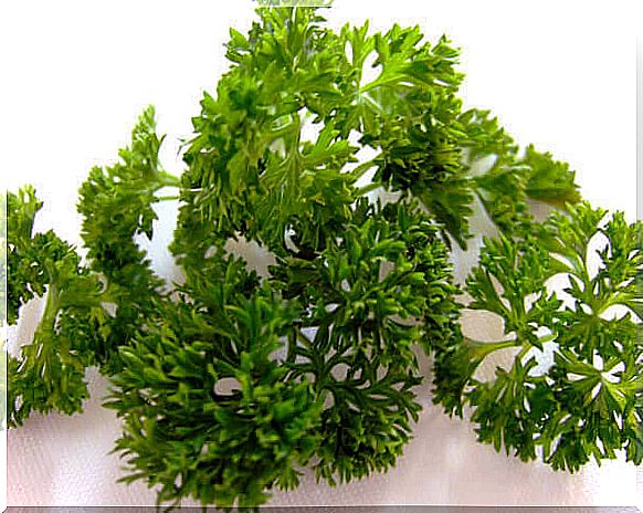 parsley is healthy 