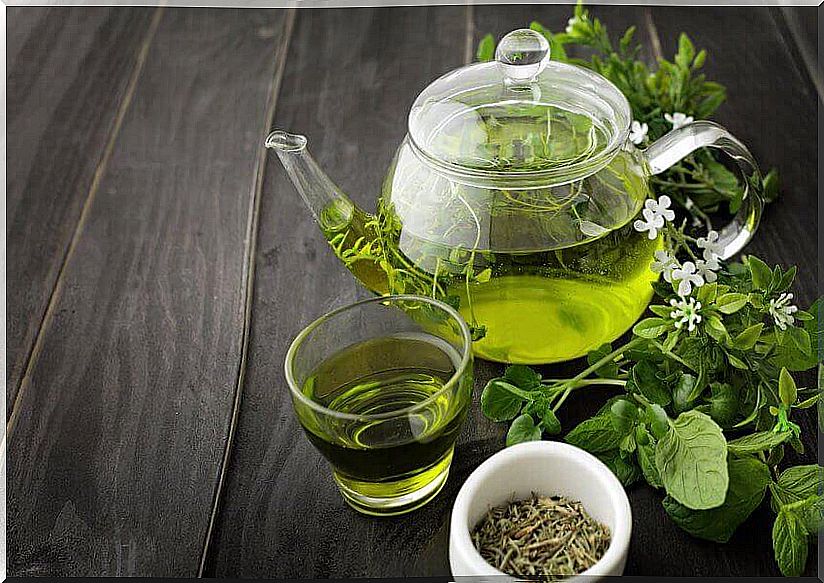 green tea as a promoter of pancreatic health