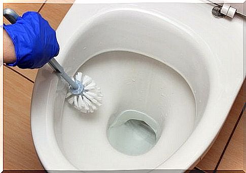 Borax is also suitable for cleaning the toilet bowl.