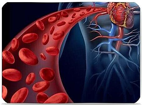 The aorta is the largest artery in the body