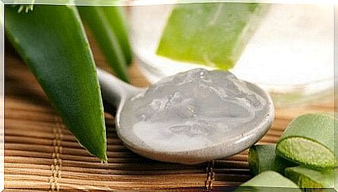 Treatment with Aloe Vera gel helps to increase the number of platelets