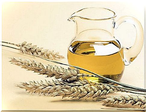 the benefits of wheat germ oil are many