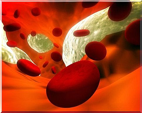 Blood vessels and their dilation: 12 natural treatments