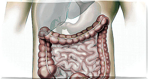 Broad-spectrum antibiotics also kill good bacteria