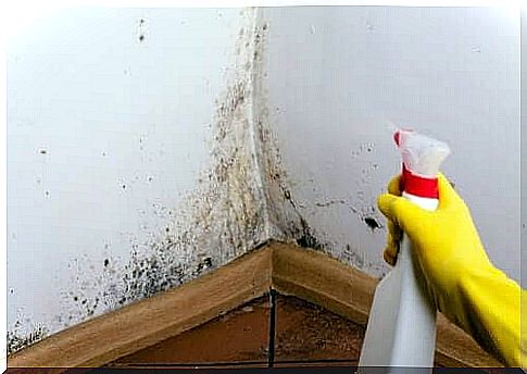 Cleaning the walls of dirt with 4 tips