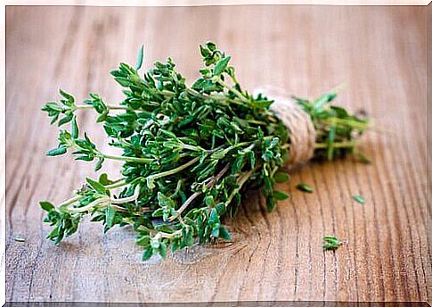 treatment of cough with thyme