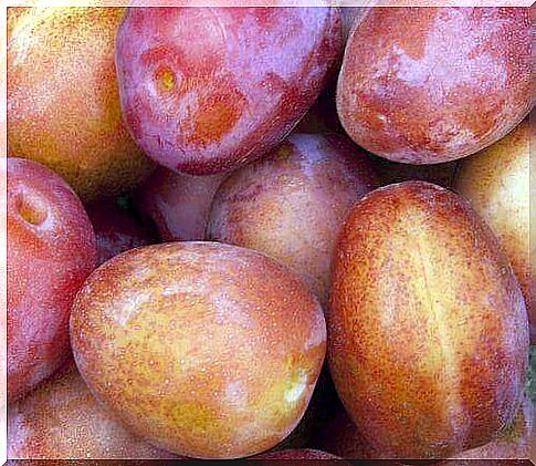 Fresh plums