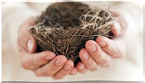 Empty nest syndrome - when the home is silent