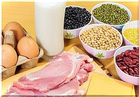 Protein-rich foods promote the body’s ability to burn fat