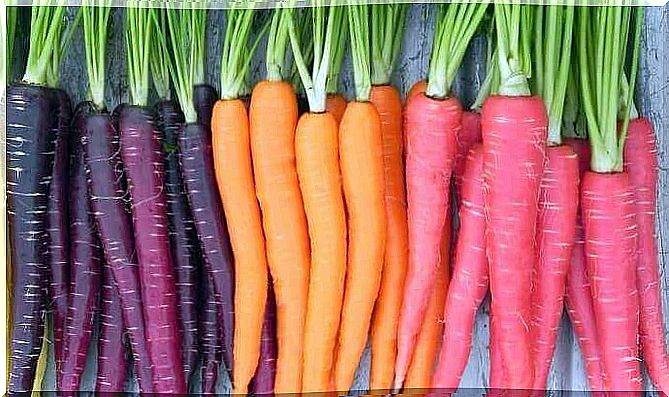 Healthy Benefits of Carrots