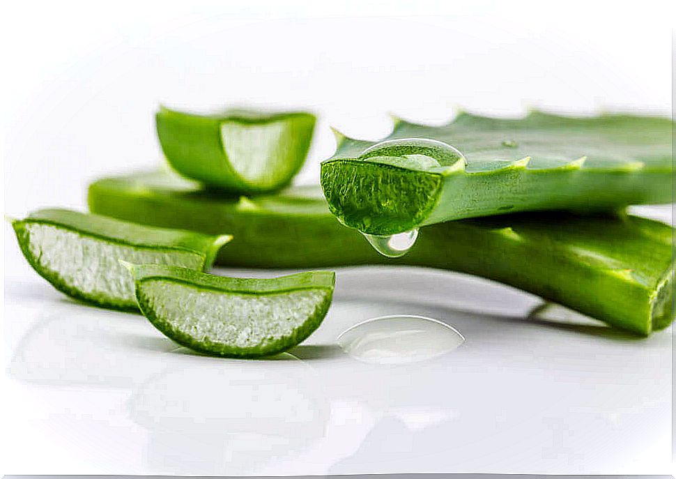 Aloe Vera promotes skin regeneration.