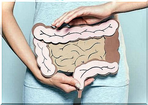 The gut plays an important role in health