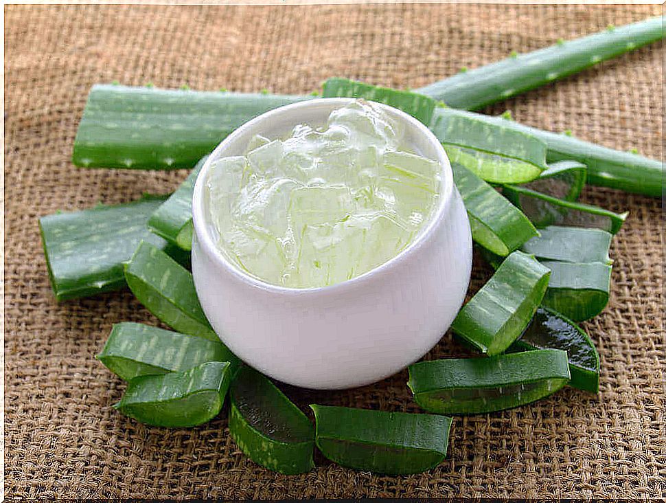 Aloe Vera helps moisturize the scalp.