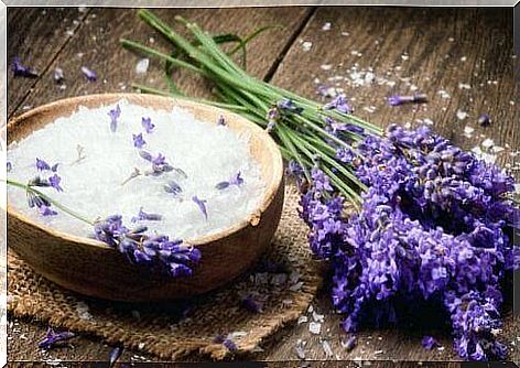 lavender and salt