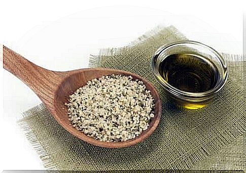 Manufacture of vegan cheese from hemp seeds