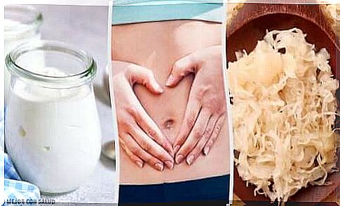 Probiotic foods promote intestinal health