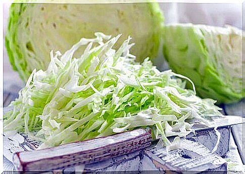 White cabbage