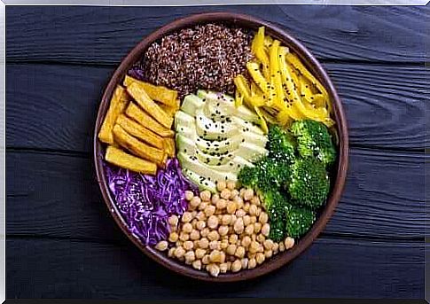 raw food diet plate