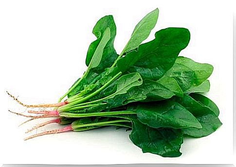 Spinach is great for relieving chronic fatigue