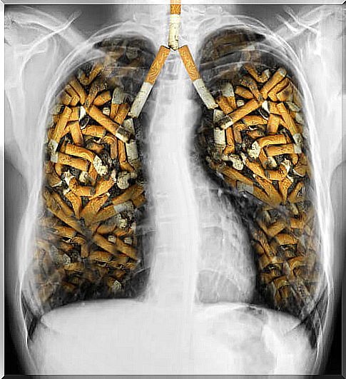 foods that help you quit smoking will help you quit and save your lungs