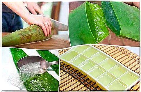 The best way to preserve aloe Vera gel