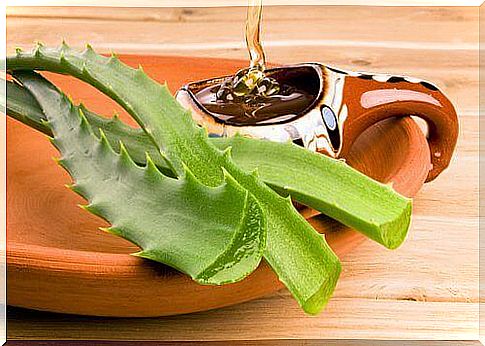 aloe Vera gel can be preserved with honey