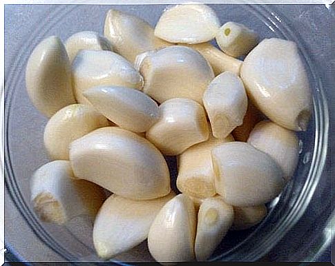 Healing effect of garlic juice