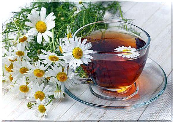 chamomile cough medicine for dry cough