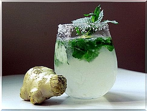 mint_inkivaari_drink against belly fat