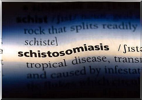 What is your schistosomy and how does it get infected?